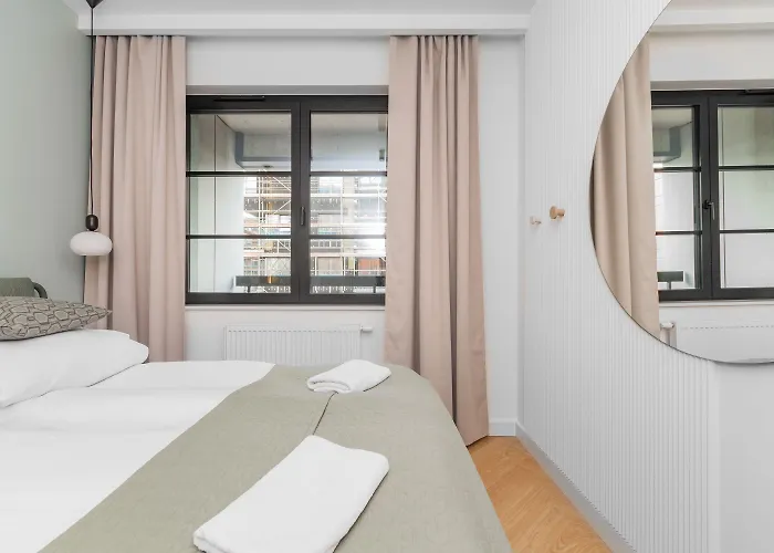 Doki - Oliwkowy By Grand